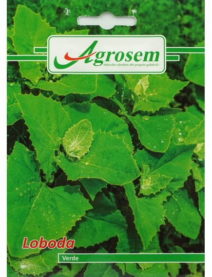 Seminte LOBODA VERDE AGROSEM 0,8 GR [1]