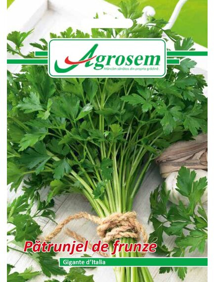 Seminte Patrunjel Frunze GIGANTE DE ITALIA 5 gr. [1]