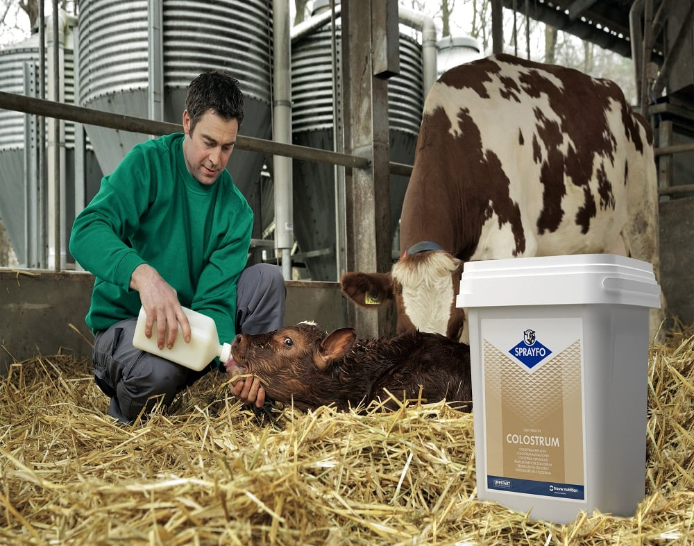 Sprayfo Blue - Lapte praf pentru vitei 20kg [3]