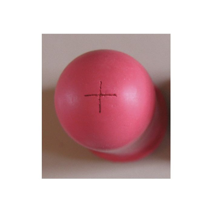 Suzeta vitei, Kerbl [2]