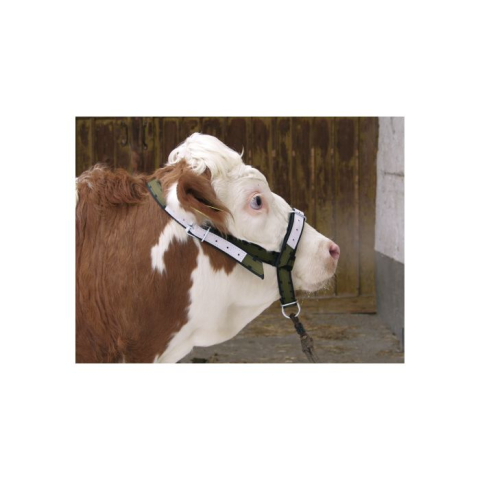 Capastru bovine Kerbl