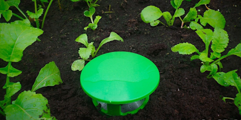 Capcana pentru limacsi si melci cu cochilie KYZONE [2]