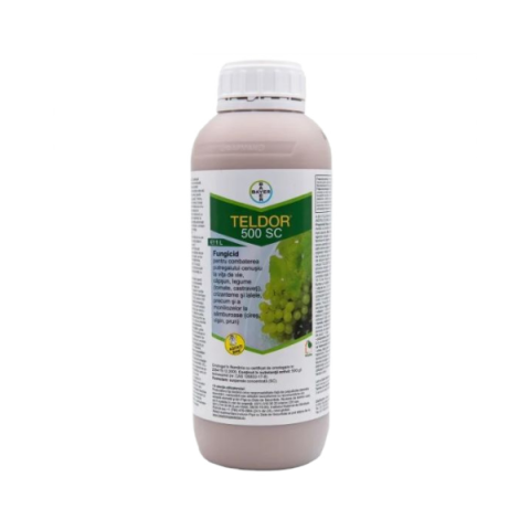 Fungicide - Fungicid TELDOR 500 SC - 1 Litru, Bayer, Sistemic, Putregai cenusiu, Monilioza