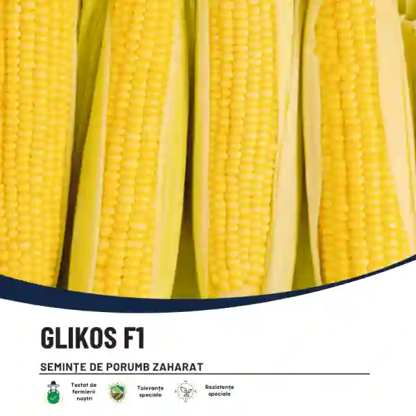 Seminte legume Hibirizi - GLIKOS F1