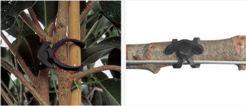 Guma de Legat Elastica 5 cm - 1 kg, (cca. 800 buc) [2]