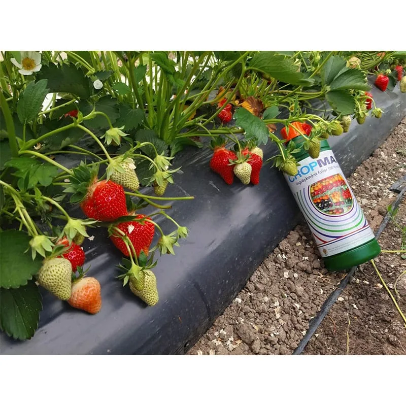 Ingrasamant Foliar CROPMAX - 20 ml, Fertilizator BIO Superconcentrat [2]