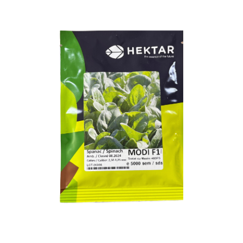 Seminte legume Hibirizi - MODI F1