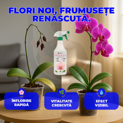 Orhidra – Îngrășământ Bio pentru Orhidee, Tratament pentru Rădăcini și Frunze [4]