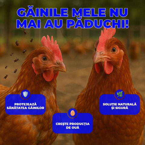 PaPaduchi – Tratament Natural pentru Păduchii de Găină, Soluție Anti-Paraziți | 100gr [4]