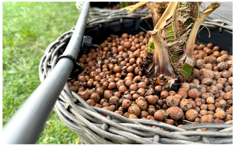 Picurator Tub Picurare [1]