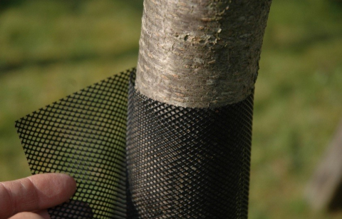 Plase de protectie - Protectie pomi contra rozatoarelor FLEX GUARD 6 x 80 cm
