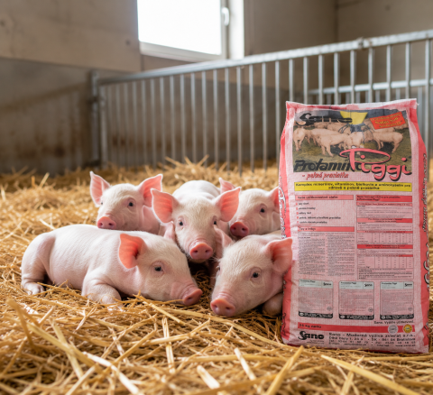Cresterea Animalelor - SANO PROTAMINO PIGGI 20% PURCEI (12-30KG) 5KG