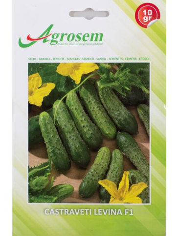Seminte legume Hibirizi - Seminte castraveti LEVINA F1