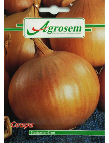 Seminte legume - Seminte Ceapa Galbena STUTTGART GIANT 1.5 GR