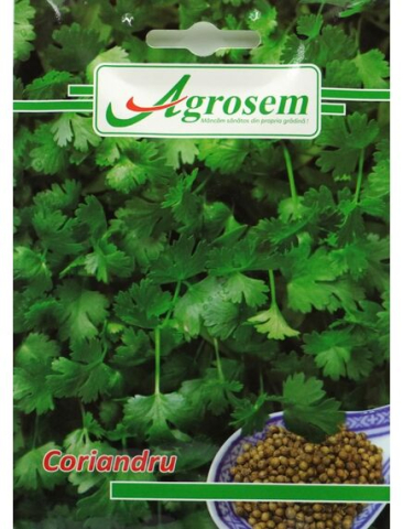 Seminte aromatice - Seminte Coriandru 5 gr.