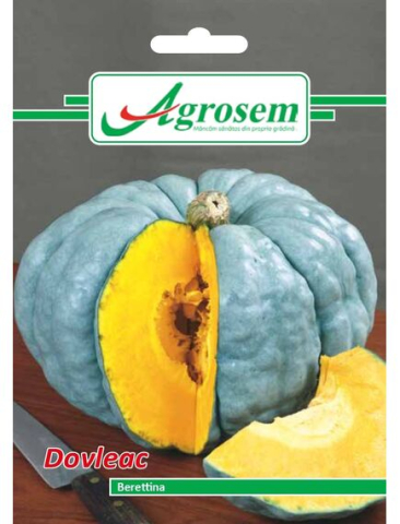 Seminte legume - Seminte Dovleac BERETTINA 2 GR