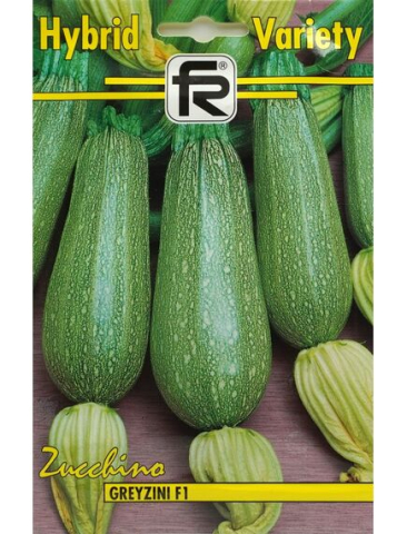 Seminte legume Hibirizi - Seminte dovlecel GREYZINI F1