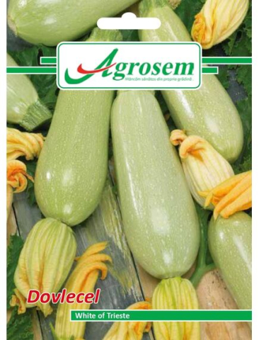Seminte legume - Seminte Dovlecel WHITE OF TRIESTE, AGROSEM-4GR