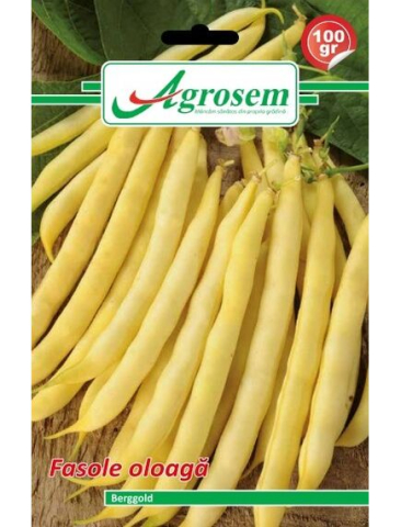 Seminte fasole oloaga BERGGOLD, Agrosem 100 gr.