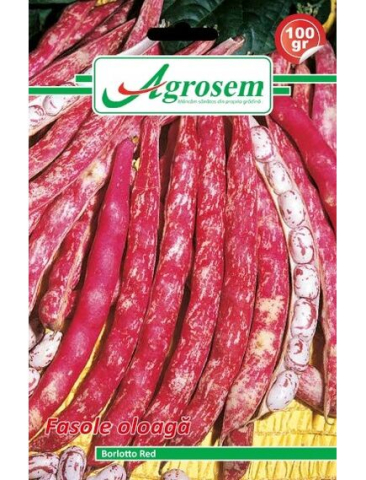 Seminte fasole oloaga BORLOTTO RED Agrosem 100 gr