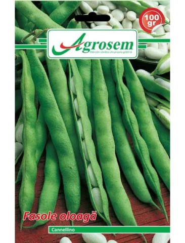 Seminte legume - Seminte fasole oloaga CANNELINO Agrosem 100 gr.