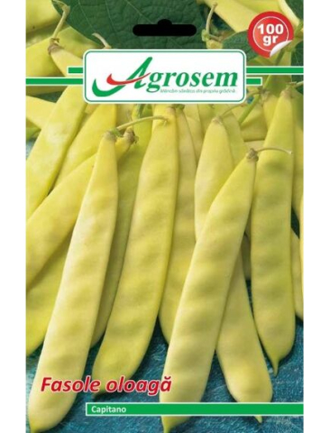 Seminte legume - Seminte Fasole Oloaga CAPITANO Agrosem 100gr