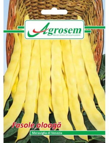 Seminte legume - Seminte Fasole Oloaga MERAVIGLIA DI VENEZIA Agrosem 100 gr.
