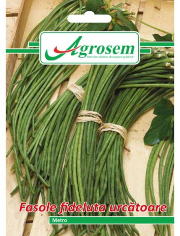 Seminte legume - Seminte Fasole Urcatoare METRO Agrosem 10 gr