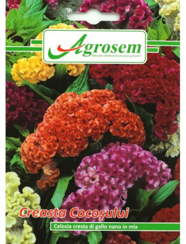 Seminte flori - Seminte Flori CREASTA COCOŞULUI 0,8 gr