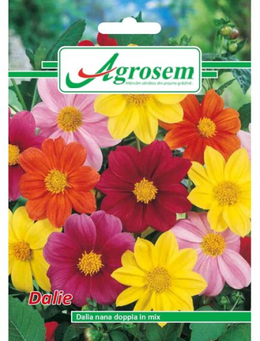 Seminte flori - Seminte Flori DALIE MIX 0,4gr