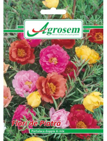 Seminte flori - Seminte FLORI DE PIATRĂ 0,3 gr