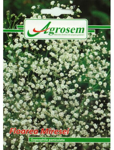 Seminte flori - Seminte Flori FLOAREA MIRESEI 1,5 gr