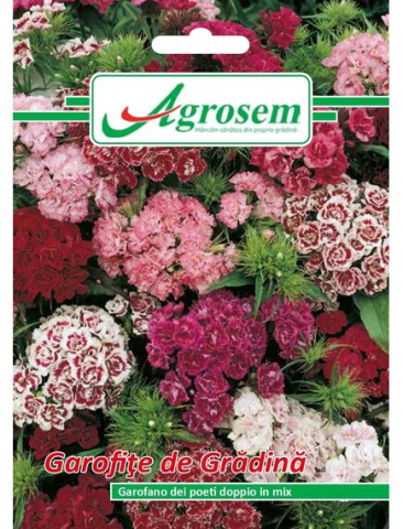 Seminte flori - Seminte Flori GAROFIŢE DE GRĂDINĂ MIX 0,3 gr