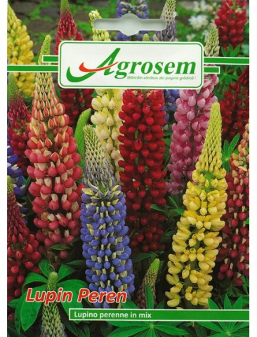 Seminte flori - Seminte Flori LUPIN PEREN 0,5 gr