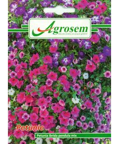 Seminte flori - Seminte Flori PETUNIA IBRIDA MIX 0,2 gr