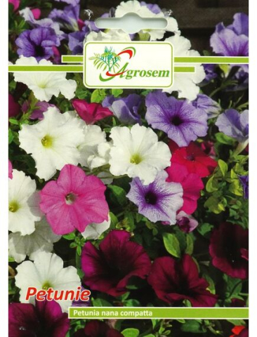 Seminte flori - Seminte Flori PETUNIA NANA COMPATTA 0,2 gr