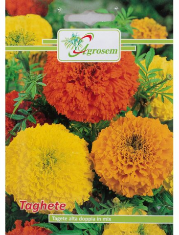 Seminte flori - Seminte Flori TAGHETE ALTA DOPPIA MIX 1 gr