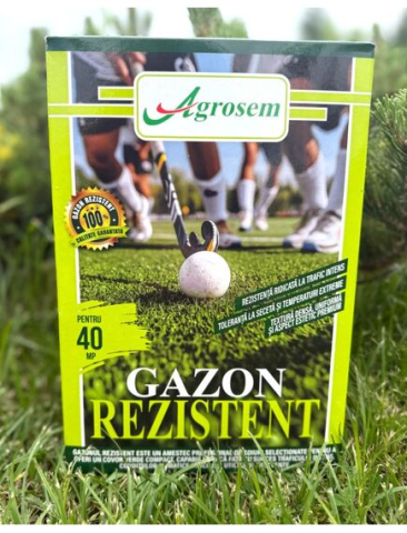Seminte Gazon - Seminte Gazon REZISTENT - 1 KG