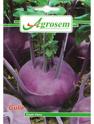 Seminte legume - Seminte Gulie PURPLE VIENA 5GR