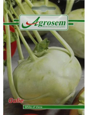 Seminte legume - Seminte Gulie WHITE OF VIENA 5 GR