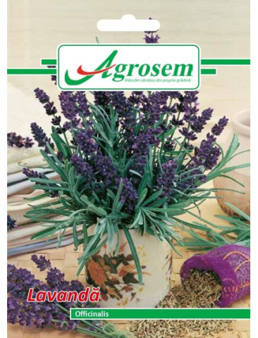 Seminte aromatice - Seminte Lavanda OFFICINALIS 0.3 gr.