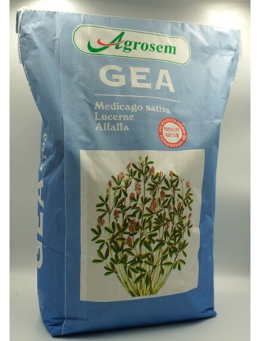 Seminte plante furajere - Seminte Lucerna GEA, 10 KG, Certificata