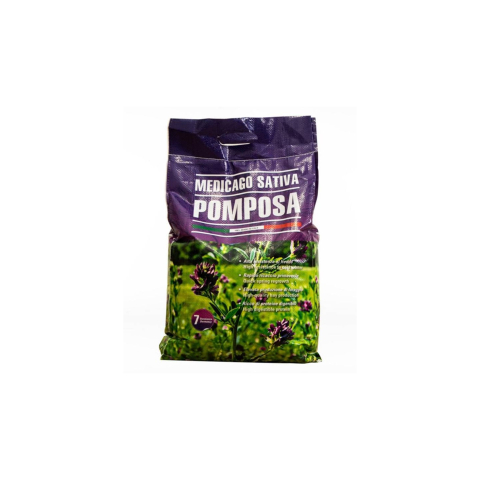 Seminte plante furajere - Seminte lucerna Lucerna Pomposa