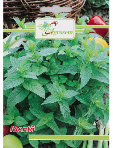Seminte aromatice - Seminte Menta 0.1 gr.