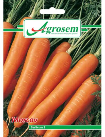 Seminte legume - Seminte Morcov BERLICUM