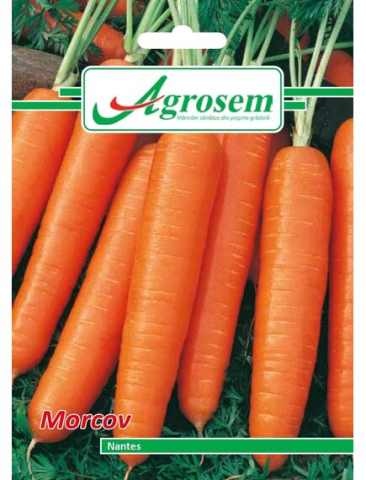 Seminte legume - Seminte Morcov NANTES 5 GR