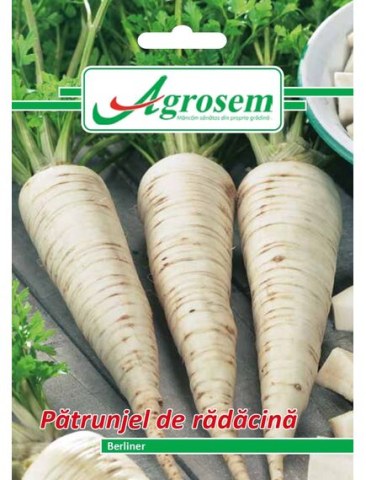 Seminte legume - Seminte Patrunjel BERLINER 5 gr.