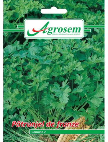 Seminte legume - Seminte Patrunjel Frunze COMUNE 5 gr.