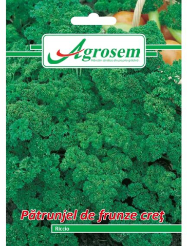 Seminte legume - Seminte Patrunjel Frunze Cret RICCIO 5 gr.