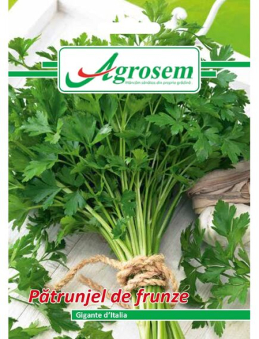 Seminte legume - Seminte Patrunjel Frunze GIGANTE DE ITALIA 5 gr.